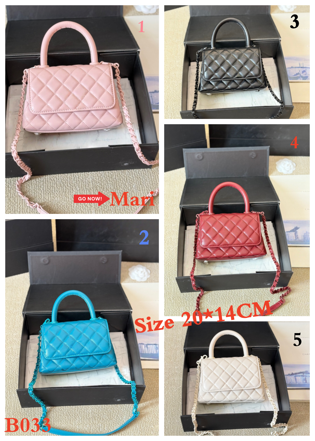 B033 Bag